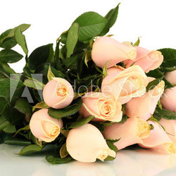 Beautiful bouquet of roses, isolated on white