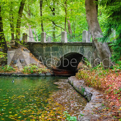 Autumn. Composition of nature.