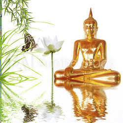 bouddha doré, lotus, bambou et papillon