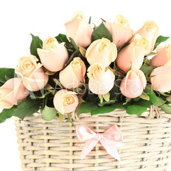Beautiful bouquet of roses in basket, isolated on white