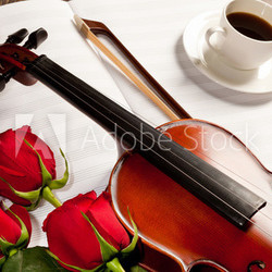 Red roses and a violin