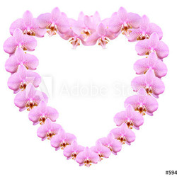 Orchid Heart