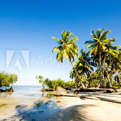 Tropical beach with mangroves and palms