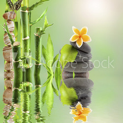 composition nature détente, bambou zen et galets
