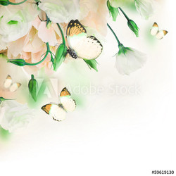 Bouquet of pink roses and butterfly, floral background
