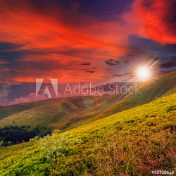 forest on a steep mountain slope