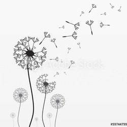 Seven vector dandelions