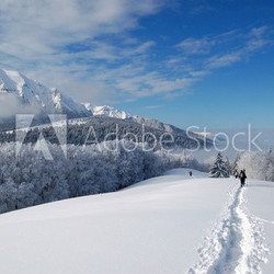 See im winter