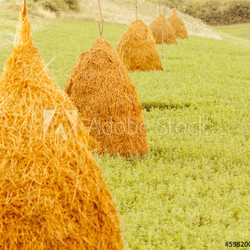 Big haystacks on green grass