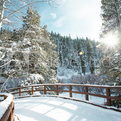 Winterlicher Hintergrund