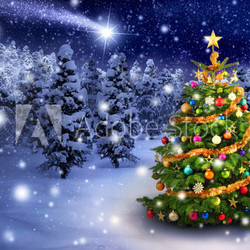 Weihnachtsgeschenk