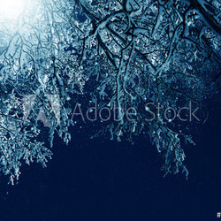 Dorf im Winter