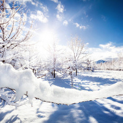 Schneebedeckt