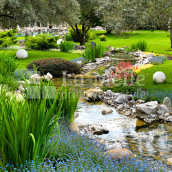 garden with pond in asian style