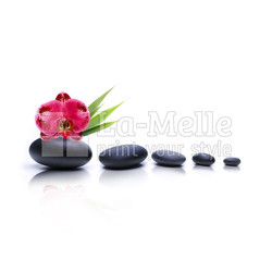 Kieselsteine mit Blume