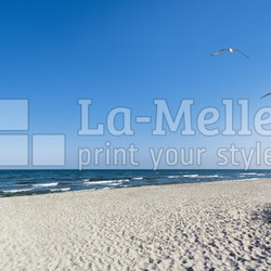 Möwen am Strand