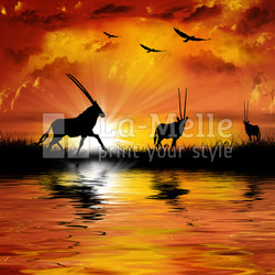 Antelope on a beautiful sunset background