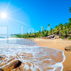 Tropical beach