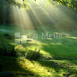 gift of light