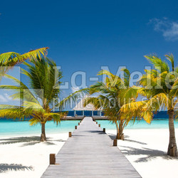 Maldivian Ocean Flair