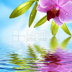 Wellness Hintergrund mit Spiegelung