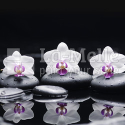 orchid flower and stones in water drops