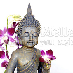 Buddha und Orchidee