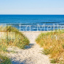 Beach access