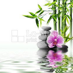 purple orchid flower end bamboo on water