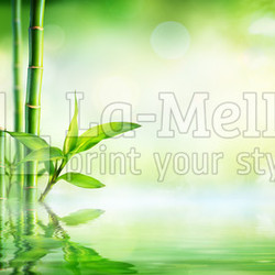 Bamboo Background - Lush Foliage With Reflection In The Water