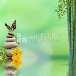 concept nature détente, bien-être, relaxation