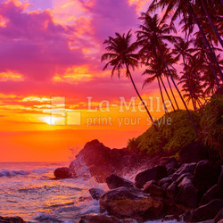 Palm trees on tropical beach at sunset