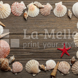 Seashells frame on old wooden surface. Focused on red starfish.