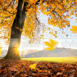 Goldener Herbst