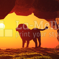 lion