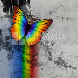 rainbow butterfly