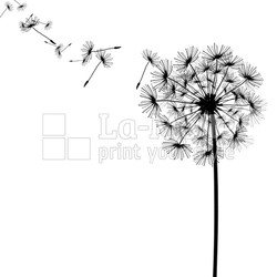 dandelion with seeds in the wind
