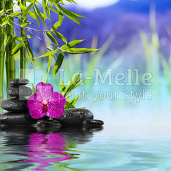 Purple Orchid, Stones and Bamboo on the water
