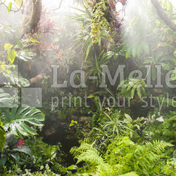 tropical forest background
