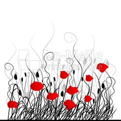 Background with grass ang red poppie isolated on white