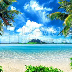 magical coast