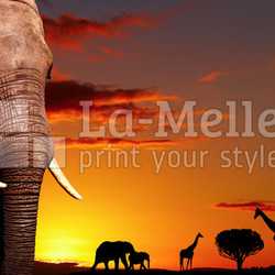 African nature concept