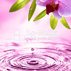 Wellness Motiv mit Orchidee