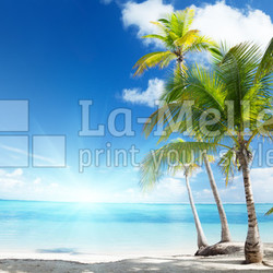 Caribbean sea and coconut palms