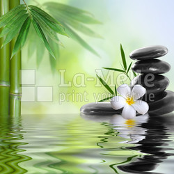 spa stones with frangipani