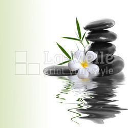 frangipani and stones on a white background