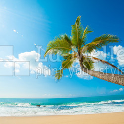 Tropical beach