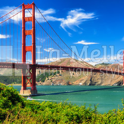 Golden gate bridge vivid day landscape