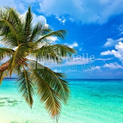 Tropical beach