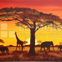 Sonnenuntergang in Afrika